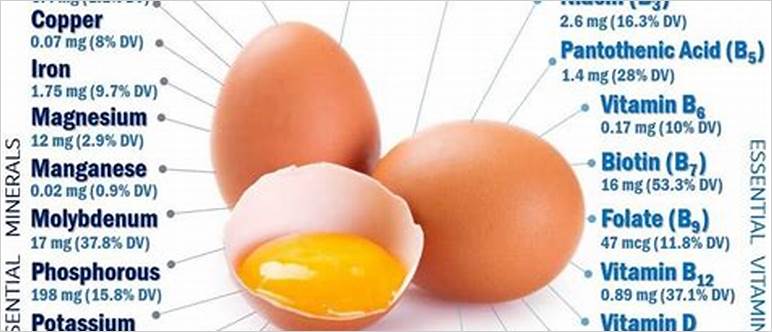 6 eggs nutrition